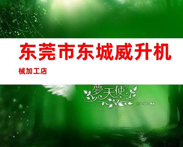 东莞市东城威升机械加工店