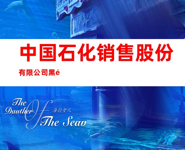 中国石化销售股份有限公司黑龙江哈尔滨石油分公司双和加油站