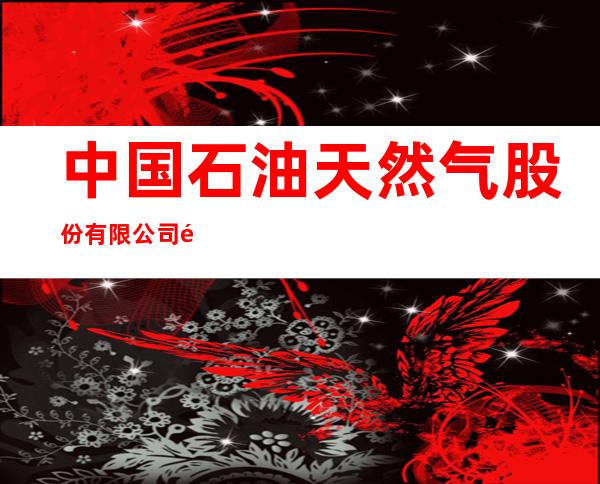 中国石油天然气股份有限公司黑龙江双鸭山友宝石油分公司第二加油站