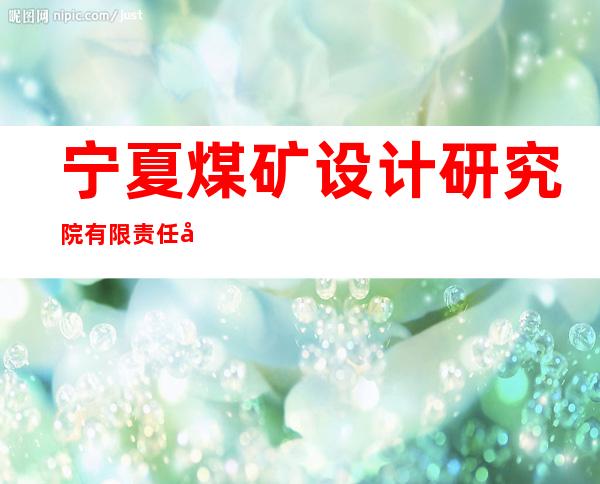 宁夏煤矿设计研究院有限责任公司
