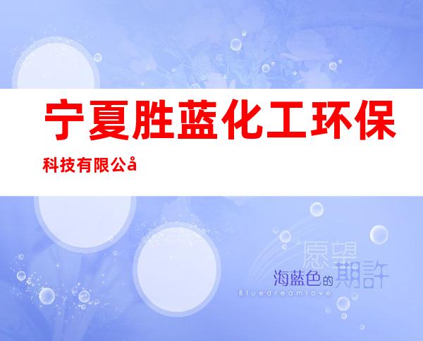 宁夏胜蓝化工环保科技有限公司