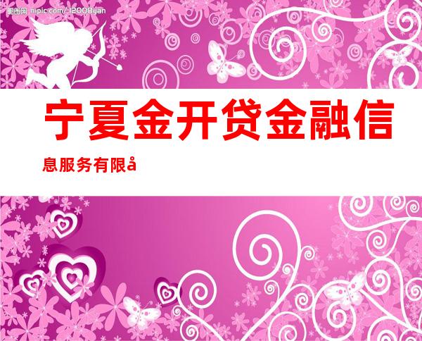 宁夏金开贷金融信息服务有限公司