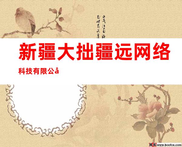新疆大拙疆远网络科技有限公司